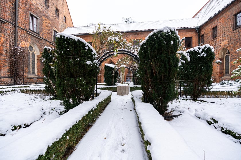 Wirydarz w Muzeum Architektury we Wrocławiu